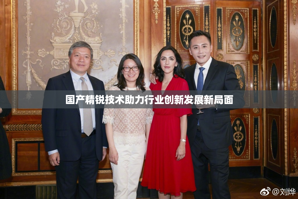 国产精锐技术助力行业创新发展新局面