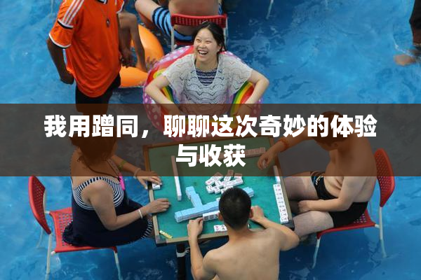 我用蹭同，聊聊这次奇妙的体验与收获