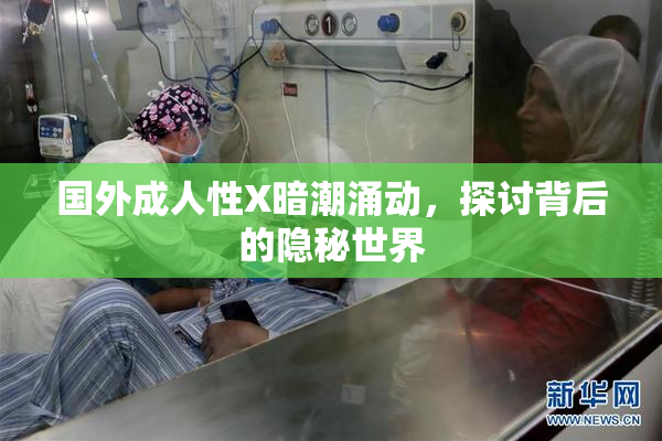 国外成人性X暗潮涌动，探讨背后的隐秘世界