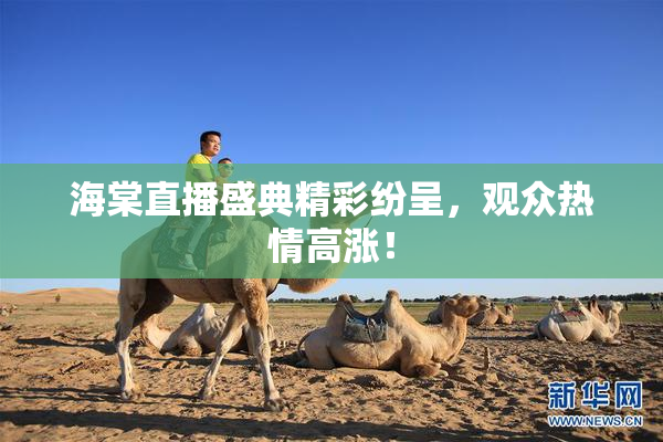 海棠直播盛典精彩纷呈，观众热情高涨！