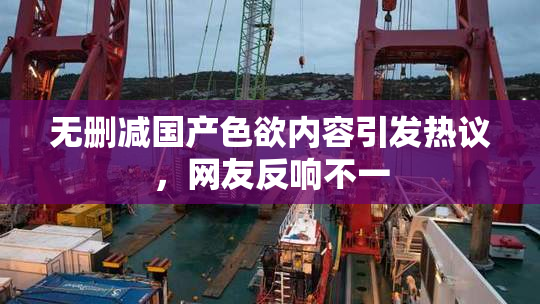 无删减国产色欲内容引发热议，网友反响不一