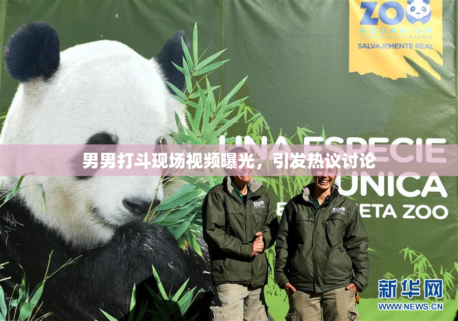男男打斗现场视频曝光，引发热议讨论