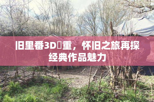旧里番3D姉重，怀旧之旅再探经典作品魅力