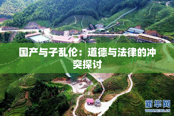 国产与子乱伦：道德与法律的冲突探讨