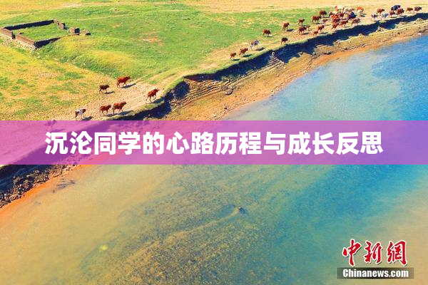沉沦同学的心路历程与成长反思