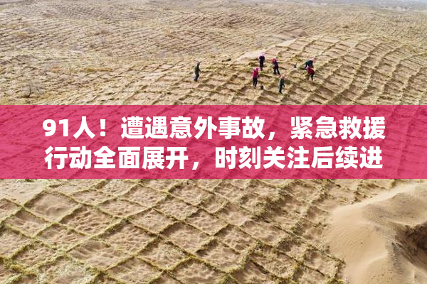 91人！遭遇意外事故，紧急救援行动全面展开，时刻关注后续进展