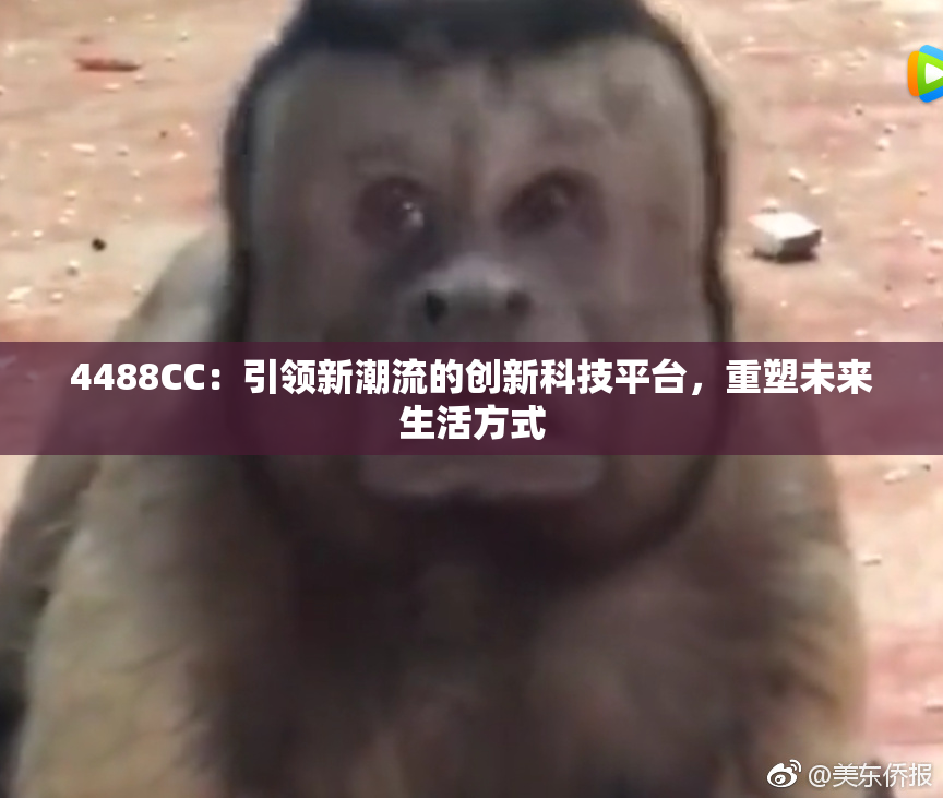 4488CC：引领新潮流的创新科技平台，重塑未来生活方式