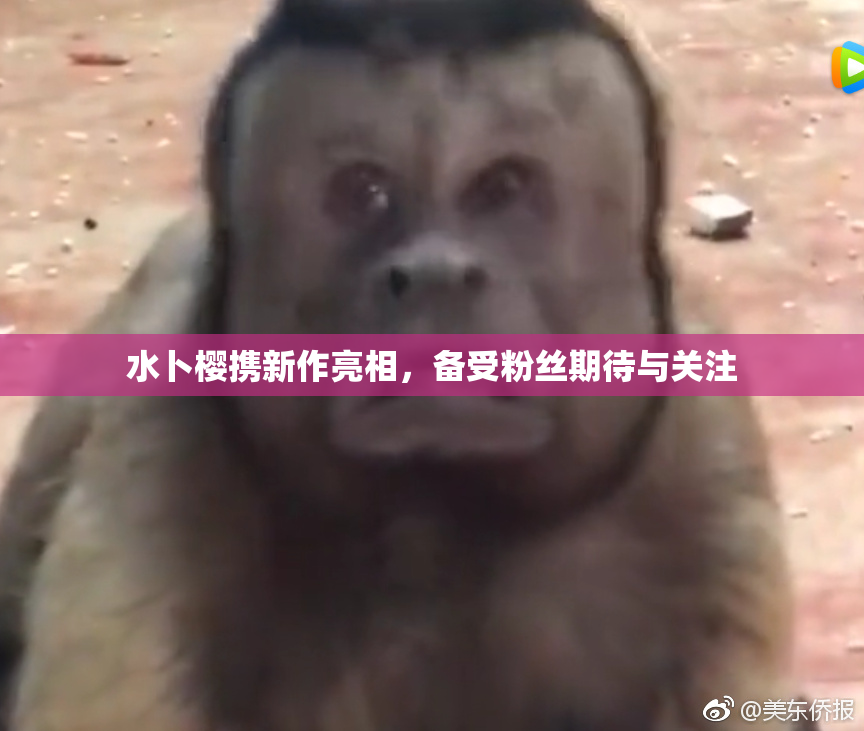 水卜樱携新作亮相，备受粉丝期待与关注