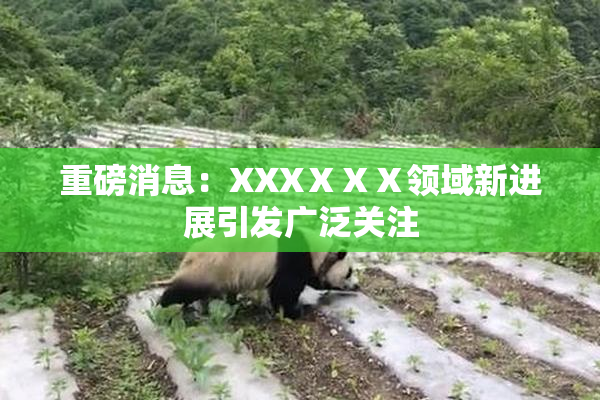 重磅消息：XXXⅩⅩⅩ领域新进展引发广泛关注