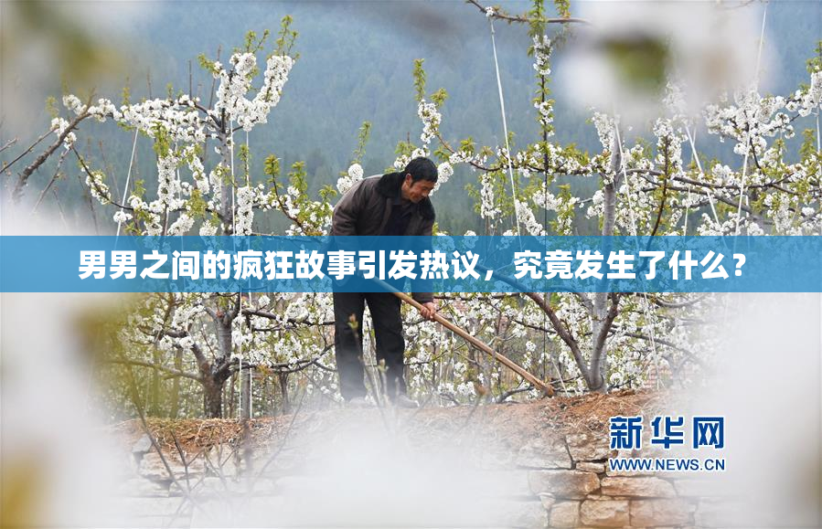 男男之间的疯狂故事引发热议，究竟发生了什么？