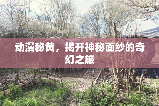 动漫秘黄，揭开神秘面纱的奇幻之旅
