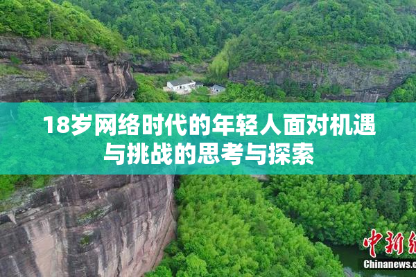 18岁网络时代的年轻人面对机遇与挑战的思考与探索