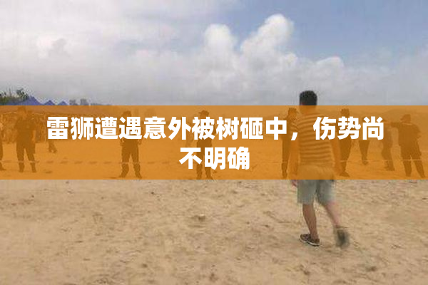 雷狮遭遇意外被树砸中，伤势尚不明确