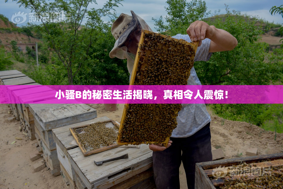 小骚B的秘密生活揭晓，真相令人震惊！
