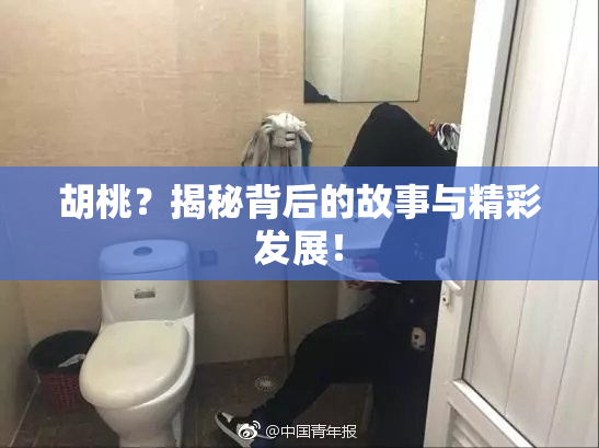 胡桃？揭秘背后的故事与精彩发展！