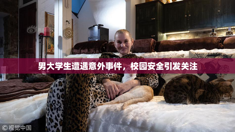 男大学生遭遇意外事件，校园安全引发关注