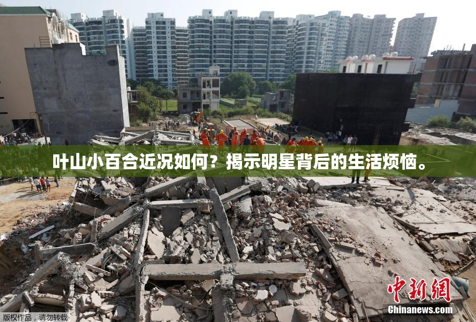 叶山小百合近况如何？揭示明星背后的生活烦恼。