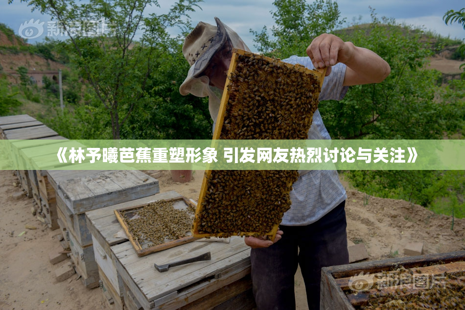 《林予曦芭蕉重塑形象 引发网友热烈讨论与关注》