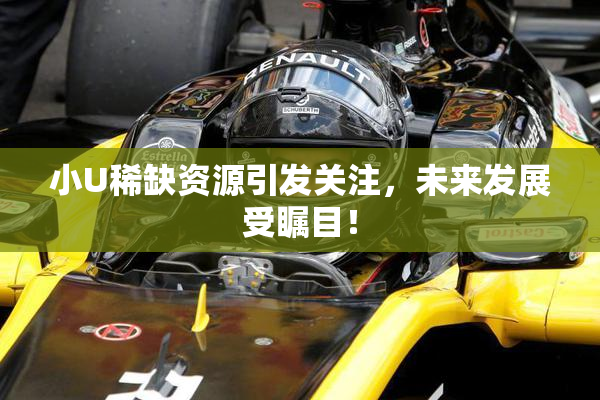 小U稀缺资源引发关注，未来发展受瞩目！