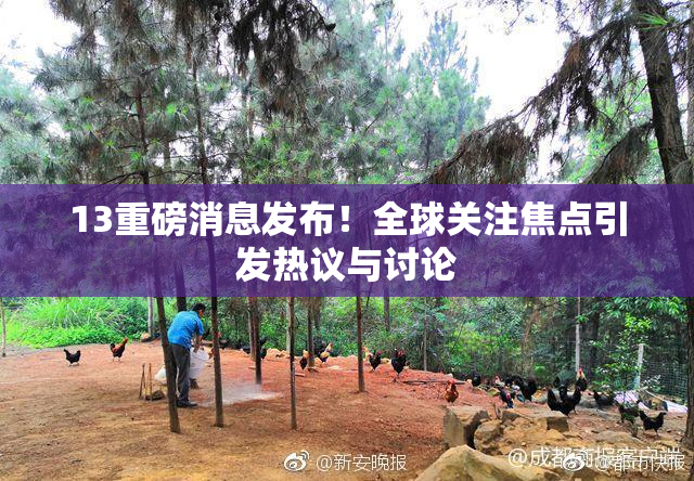 13重磅消息发布！全球关注焦点引发热议与讨论