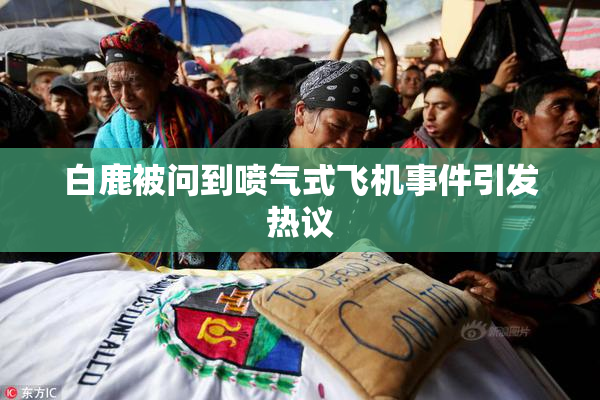 白鹿被问到喷气式飞机事件引发热议
