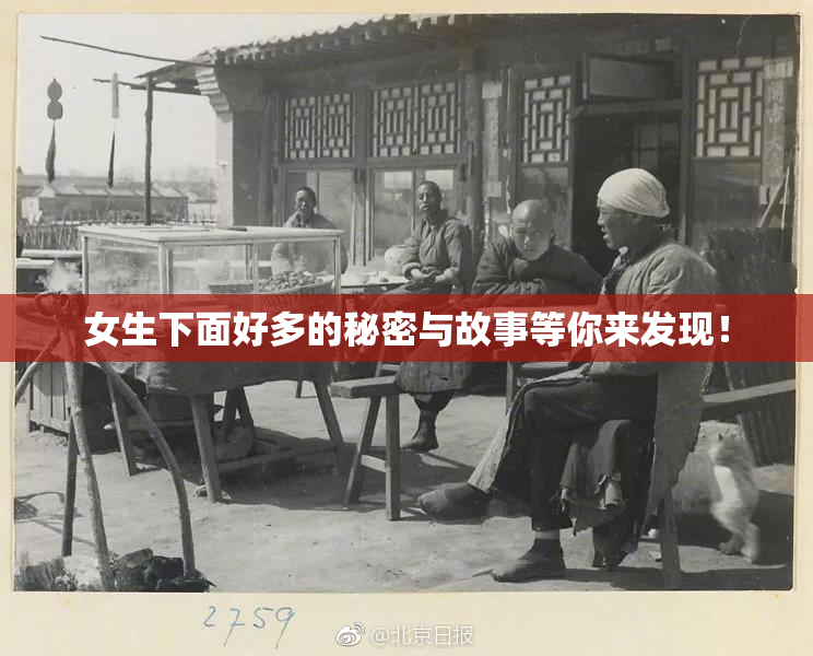 女生下面好多的秘密与故事等你来发现！