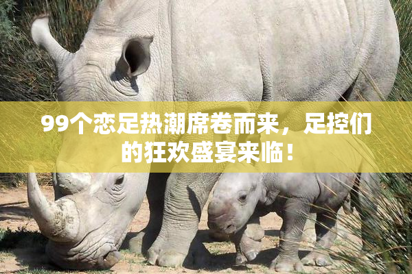 99个恋足热潮席卷而来，足控们的狂欢盛宴来临！
