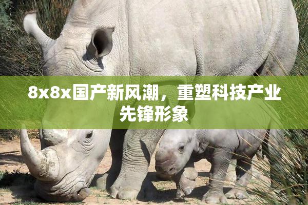 8x8x国产新风潮，重塑科技产业先锋形象