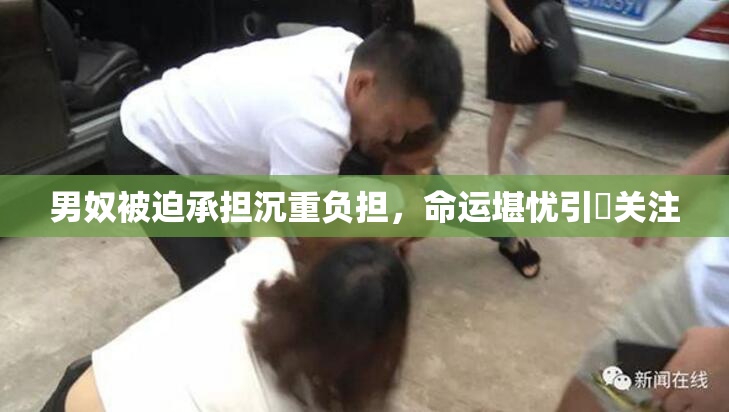 男奴被迫承担沉重负担，命运堪忧引発关注