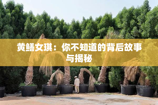 黄鳝女琪：你不知道的背后故事与揭秘