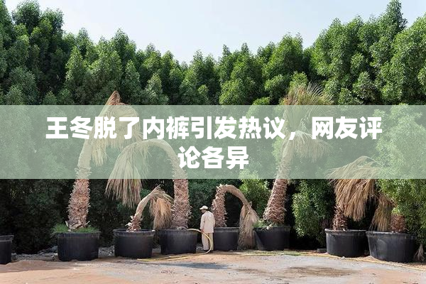 王冬脱了内裤引发热议，网友评论各异