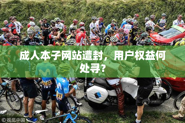 成人本子网站遭封，用户权益何处寻？