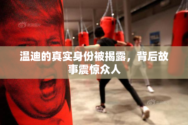 温迪的真实身份被揭露，背后故事震惊众人