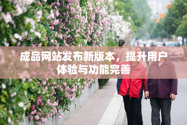 成品网站发布新版本，提升用户体验与功能完善