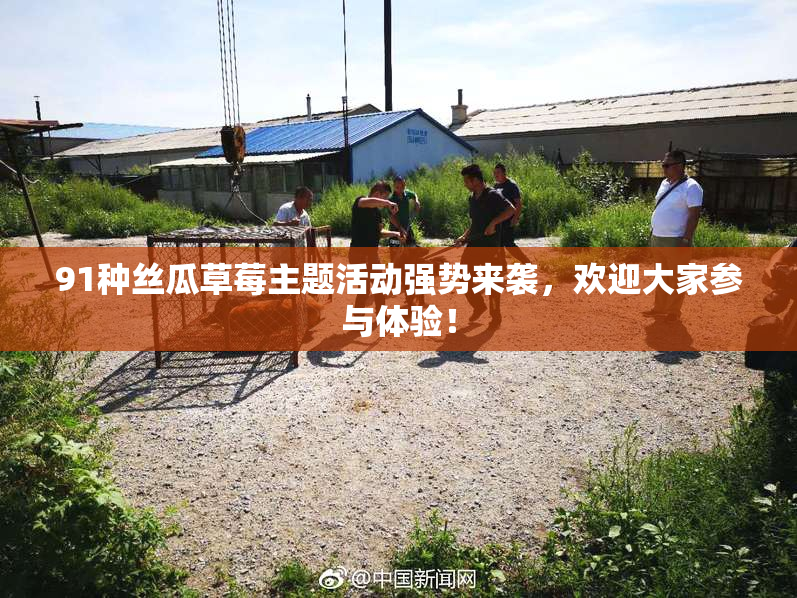 91种丝瓜草莓主题活动强势来袭，欢迎大家参与体验！