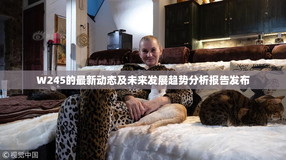 W245的最新动态及未来发展趋势分析报告发布