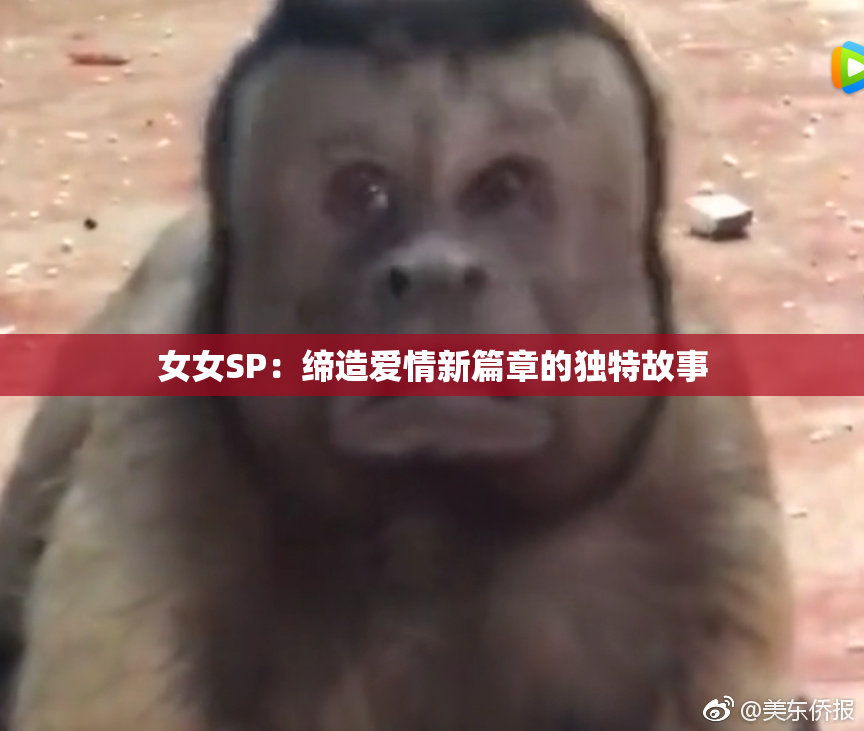 女女SP：缔造爱情新篇章的独特故事