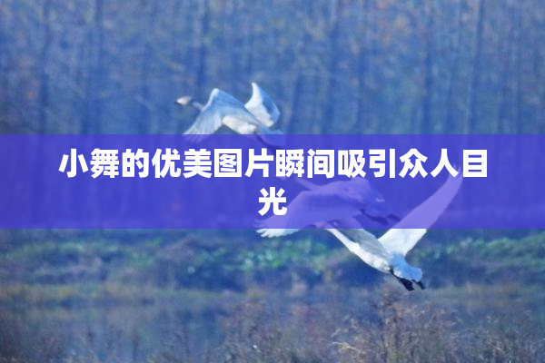 小舞的优美图片瞬间吸引众人目光
