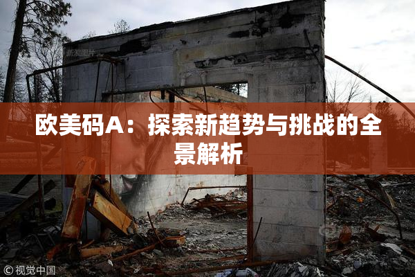 欧美码A：探索新趋势与挑战的全景解析