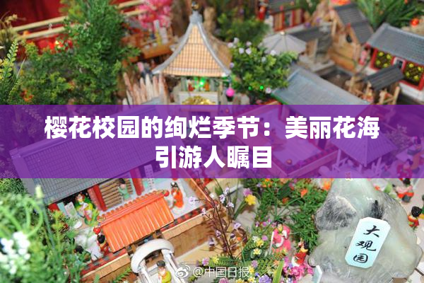 樱花校园的绚烂季节：美丽花海引游人瞩目