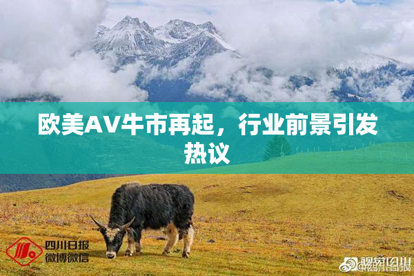 欧美AV牛市再起，行业前景引发热议