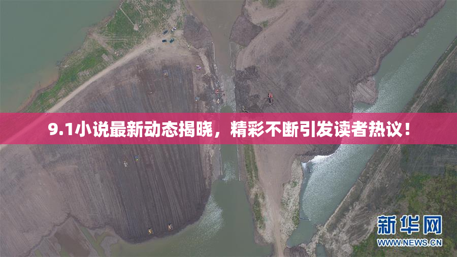 9.1小说最新动态揭晓，精彩不断引发读者热议！