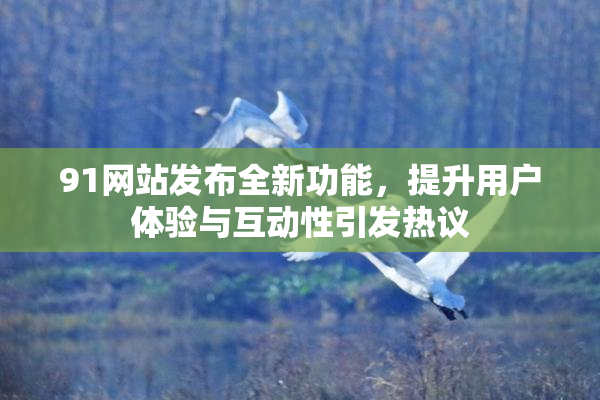 91网站发布全新功能，提升用户体验与互动性引发热议