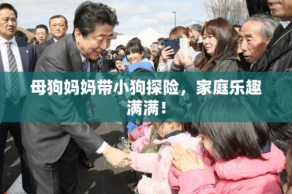 母狗妈妈带小狗探险，家庭乐趣满满！