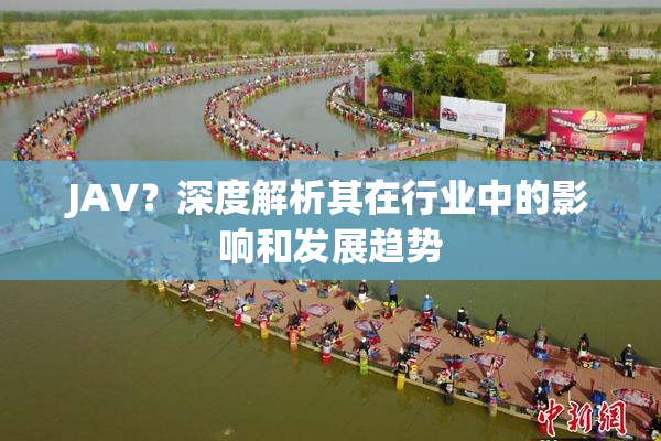 JAV？深度解析其在行业中的影响和发展趋势