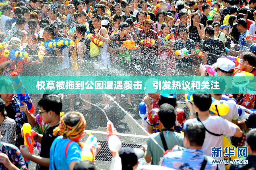 校草被拖到公园遭遇袭击，引发热议和关注