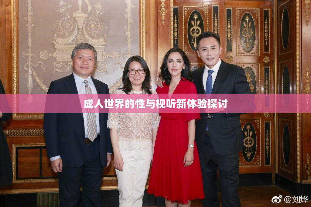成人世界的性与视听新体验探讨
