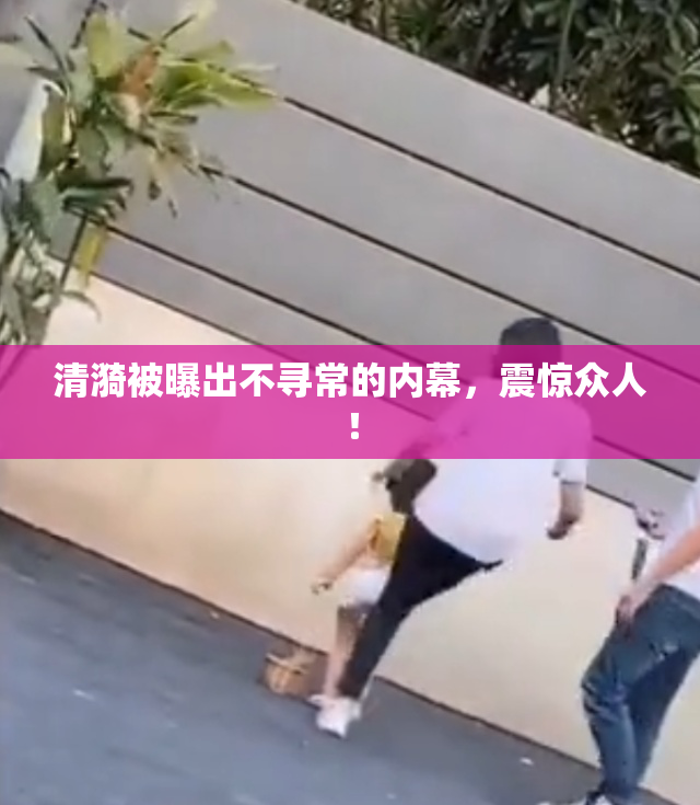 清漪被曝出不寻常的内幕，震惊众人！