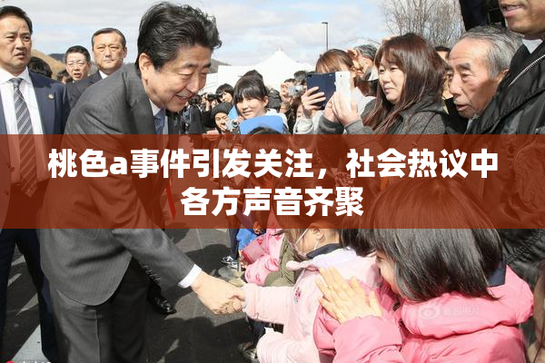 桃色a事件引发关注，社会热议中各方声音齐聚