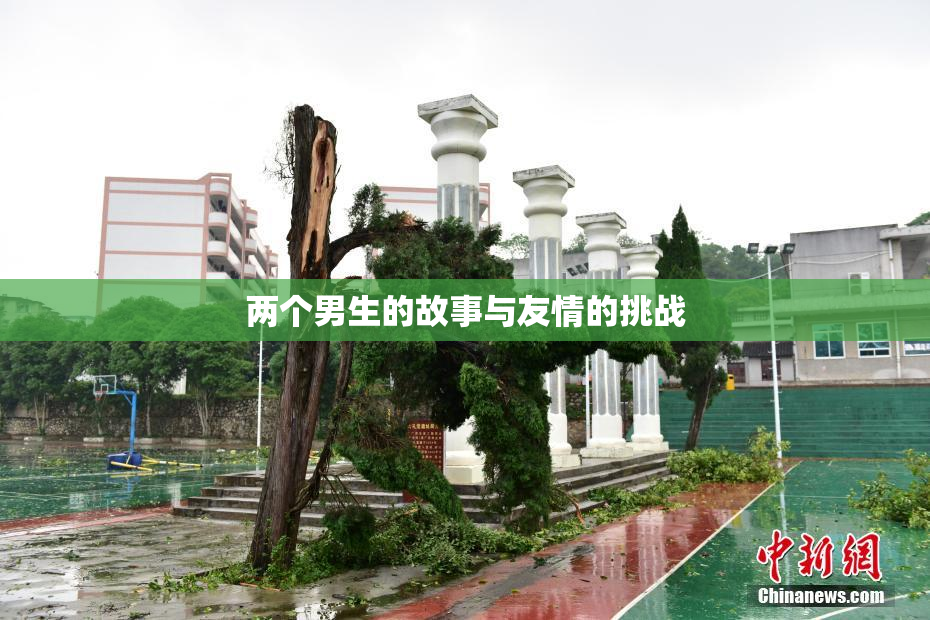 两个男生的故事与友情的挑战